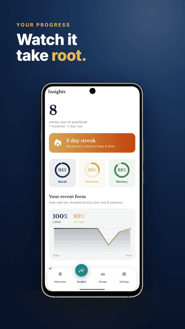 Insights screen showing streaks and progress
