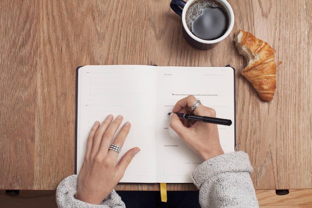 Professional editing and manuscript development