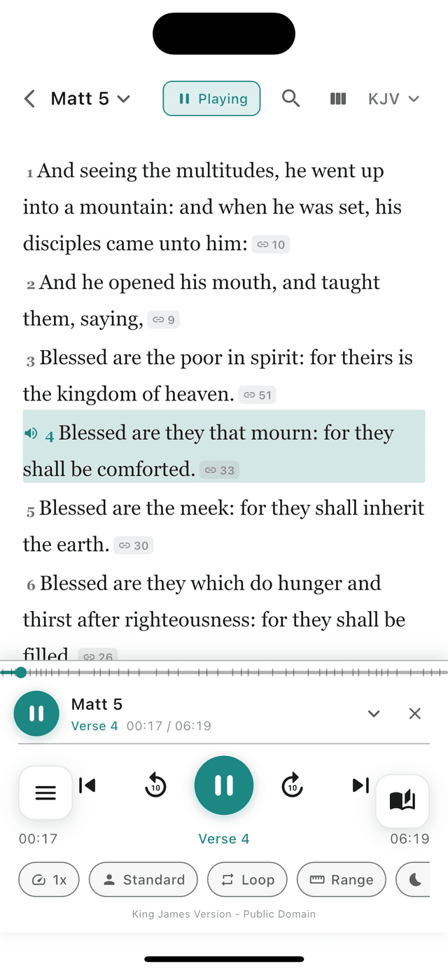 VerseWise Bible Audio Player